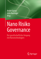 Nano Risiko Governance - 