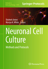 Neuronal Cell Culture - 