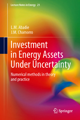 Investment in Energy Assets Under Uncertainty - L.M. Abadie, J.M. Chamorro