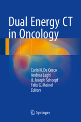 Dual Energy CT in Oncology - 