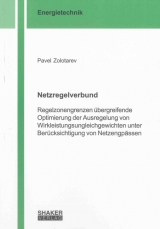 Netzregelverbund - Pavel Zolotarev