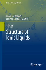 The Structure of Ionic Liquids - 