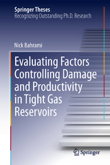 Evaluating Factors Controlling Damage and Productivity in Tight Gas Reservoirs - Nick Bahrami