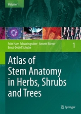 Atlas of Stem Anatomy in Herbs, Shrubs and Trees - Fritz Hans Schweingruber, Annett Börner, Ernst-Detlef Schulze