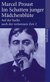 Auf der Suche nach der verlorenen Zeit. Frankfurter Ausgabe - Marcel Proust