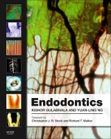 Endodontics - Gulabivala, Kishor; Ng, Yuan-Ling