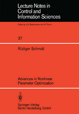 Advances in Nonlinear Parameter Optimization - R. Schmidt