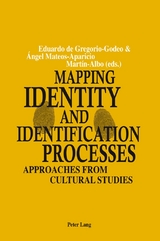 Mapping Identity and Identification Processes - 