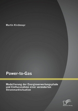 Power-to-Gas: Modellierung der Energieverwertungspfade und Einflussnahme einer veränderten Strommarktsituation - Martin Kirchmayr