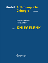 Strobel Arthroskopische Chirurgie - Michael J. Strobel, Thore Zantop