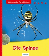 Meine große Tierbibliothek: Die Spinne - Vallet, Anne