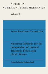 Numerical Methods for the Computation of Inviscid Transonic Flows with Shock Waves - Arthur Rizzi, Henri Viviand