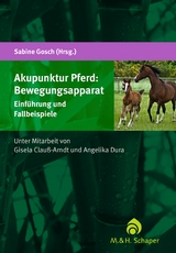 Akupunktur Pferd: Bewegungsapparat - 