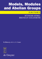 Models, Modules and Abelian Groups - 