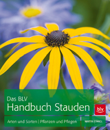 Das BLV Handbuch Stauden - Martin Stangl