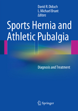Sports Hernia and Athletic Pubalgia - 