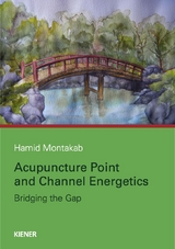 Acupuncture Point and Channel Energetics - Hamid Montakab