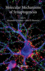 Molecular Mechanisms of Synaptogenesis - 