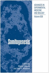 Somitogenesis - 