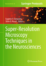 Super-Resolution Microscopy Techniques in the Neurosciences - 