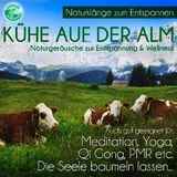 Kühe auf der Alm, 1 Audio-CD