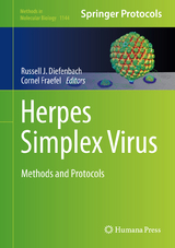 Herpes Simplex Virus - 