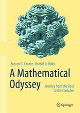 A Mathematical Odyssey - Steven G. Krantz, Harold R. Parks