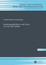 Sanierungspflichten in der Krise von AG und GmbH - Gabriel Litzenberger