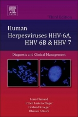 Human Herpesviruses HHV-6A, HHV-6B and HHV-7 - Flamand, Louis; Lautenschlager, Irmeli; Krueger, Gerhard; Ablashi, Dharam