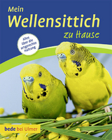 Mein Wellensittich zu Hause - Hieronimus, Harro