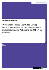 "No Woman Should Die While Giving Birth". A Discussion on the Progress Made and Limitations on Achieving the MDG5 in Namibia - Leonard Kabongo