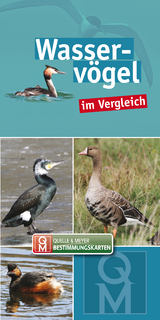 Wasservögel