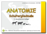 Anatomie: Schultergliedmaße - Glück, Gabriele