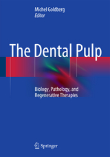 The Dental Pulp - 