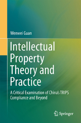 Intellectual Property Theory and Practice - Wenwei Guan