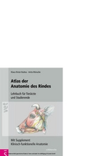 Atlas der Anatomie des Rindes -  Klaus-Dieter Budras,  Anita Wünsche