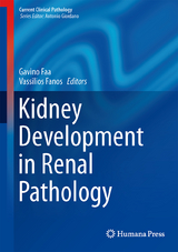 Kidney Development in Renal Pathology - 