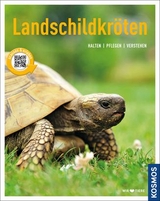 Landschildkröten - Manfred Rogner