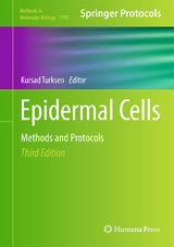 Epidermal Cells - 