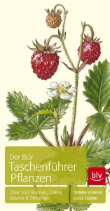 Der BLV Taschenführer Pflanzen - Schauer, Thomas; Caspari, Claus