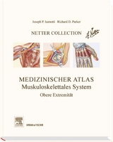 Netter Collection  Muskuloskelettales System Band 1 -  Iannotti