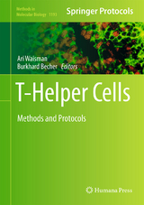 T-Helper Cells - 