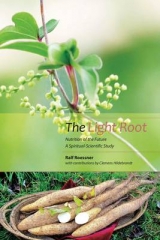 The Light Root - Ralf Roessner, Clemens Hildebrandt