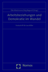 Arbeitsbeziehungen und Demokratie im Wandel - 