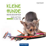 Kleine Hunde richtig beschäftigen - David Keulert