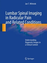 Lumbar Spinal Imaging in Radicular Pain and Related Conditions -  J.T. Wilmink
