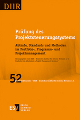 Prüfung des Projektsteuerungssystems - 