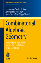 Combinatorial Algebraic Geometry - Aldo Conca, Sandra Di Rocco, Jan Draisma, June Huh, Bernd Sturmfels, Filippo Viviani