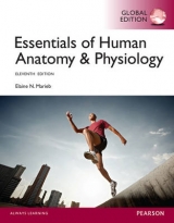 Essentials of Human Anatomy & Physiology with MasteringA&P, Global Edition - Marieb, Elaine N.