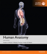 Human Anatomy, Global Edition - Martini, Frederic H.; Timmons, Michael J.; Tallitsch, Robert B.